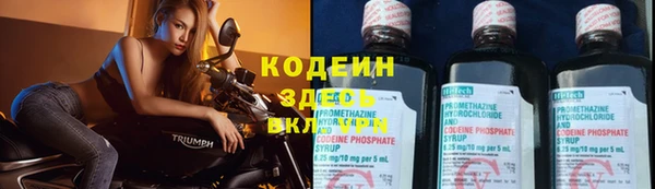 кокс Аркадак