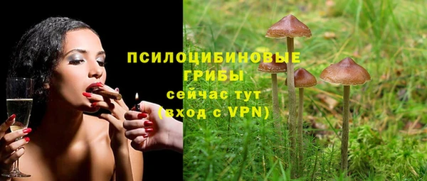 не бодяженный Арсеньев